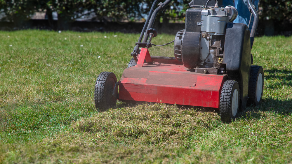 Changer le fil d'une d&eacute;broussailleuse