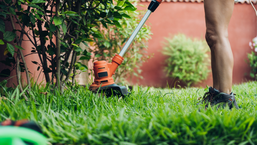 Débroussailleuse en fonctionnement