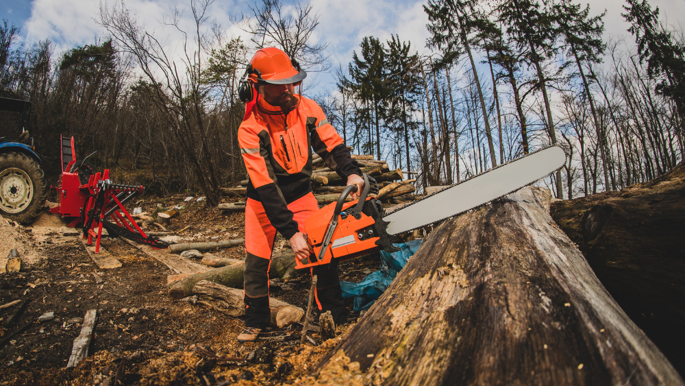 chaîne de tronconneuse