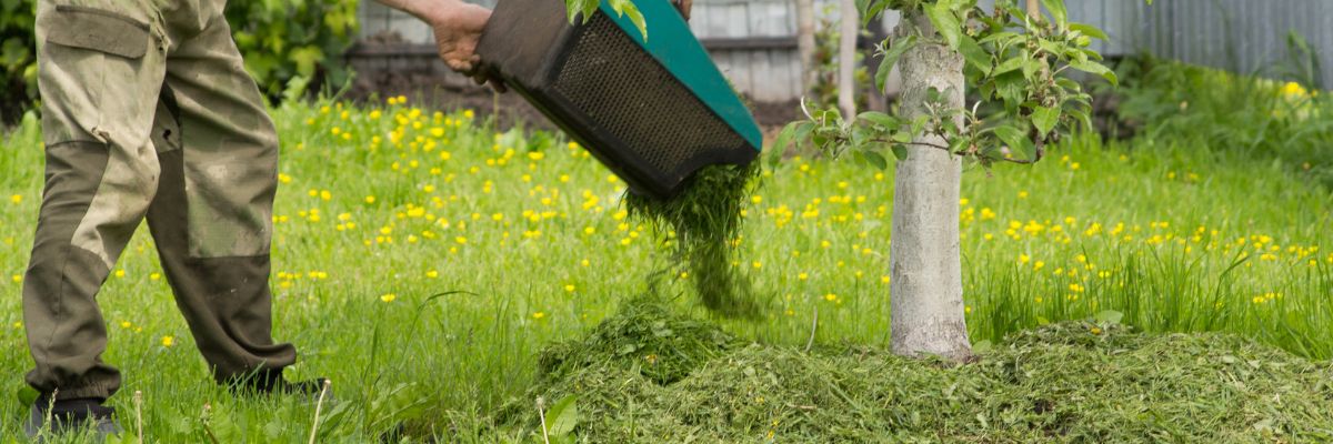 Mulching, bientôt obligatoire