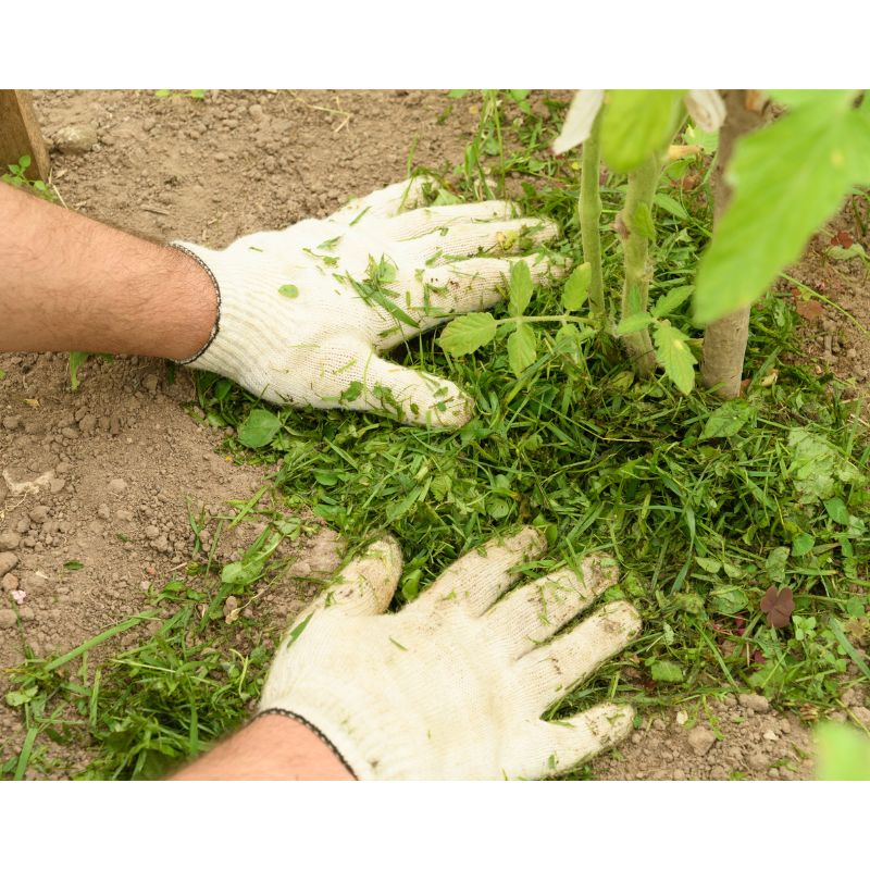 Mulching, bientôt obligatoire