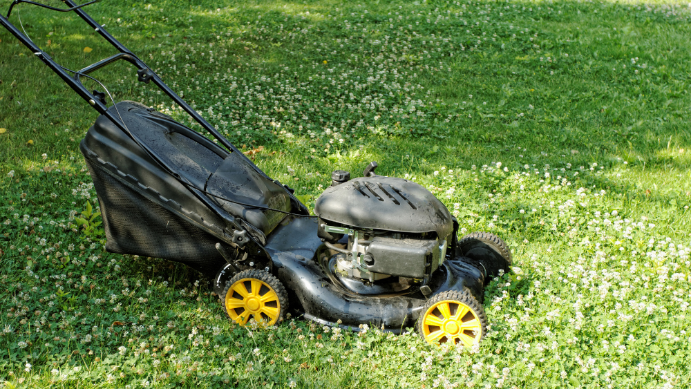 D&eacute;broussailleuse en fonctionnement