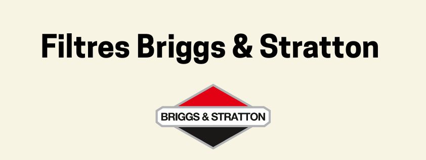 fitres à air tondeuse Briggs & Stratton