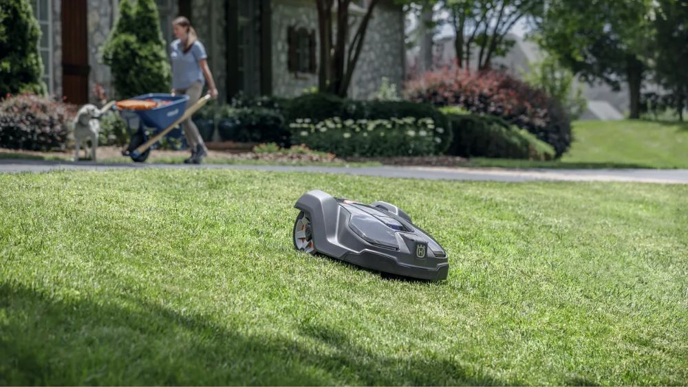 meilleur robot tondeuse sans fil