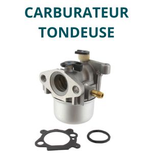 Carburateur tondeuse