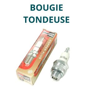 Bougie tondeuse